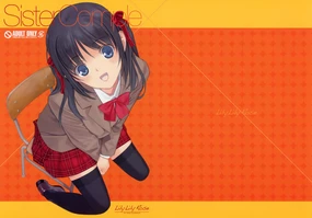 Sister Complex [Chinese] 【黑条汉化】