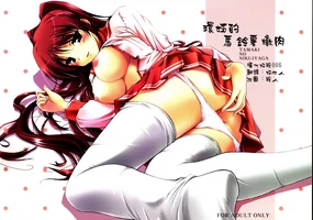 Tama-nee no Nikujaga