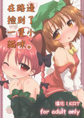 Michibata de Neko wo Hiroimashita.