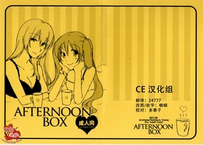 Afternoon Box