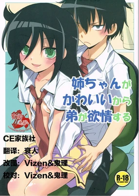 Nee-chan ga Kawaii kara Otouto ga Yokujo suru