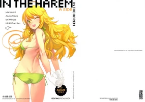 IN THE HAREM A SIDE (decensored)