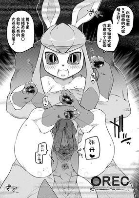 Pokémon Daisuki Club Kaiin Gentei Douga