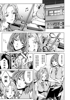 Pet Gokko - Play pet