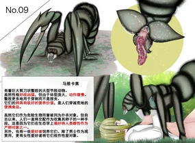 蟲研究レポート_No.09