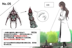 蟲研究レポート_No.05