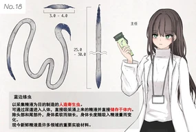 蟲研究レポート_No.18