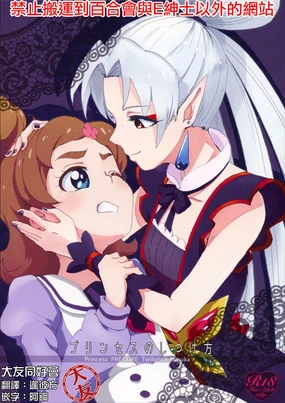 Princess no Shitsukekata