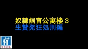 Dorei Shiiku Mansion 3 Ikenie Hakkyo Shokei Hen | 奴隷飼育公寓楼3 生贄発狂処刑編