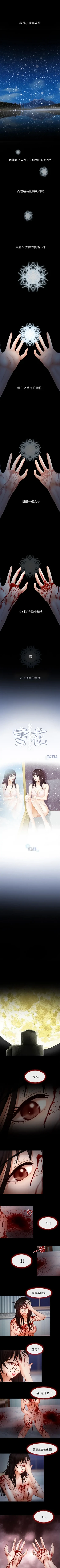 雪花 1-30
