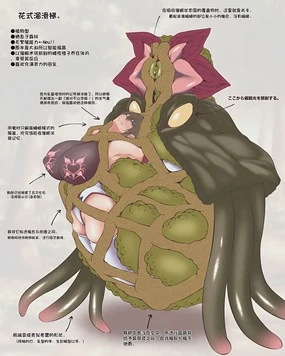魔物図鑑18「華達磨」