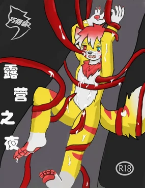 【chocolate_yin】露营之夜