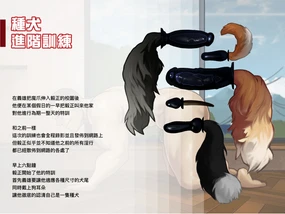 【Yetigo】《种犬毅正》04 种犬进阶训练