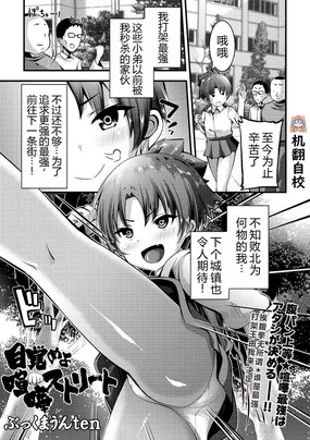 目覚めよ喧嘩ストリート丨觉醒吧，街头斗殴