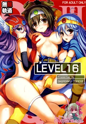 LEVEL 16