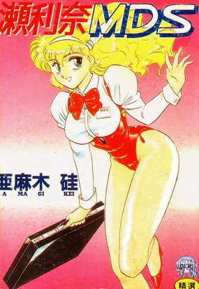 Serina MDS - Magical Delivery Service