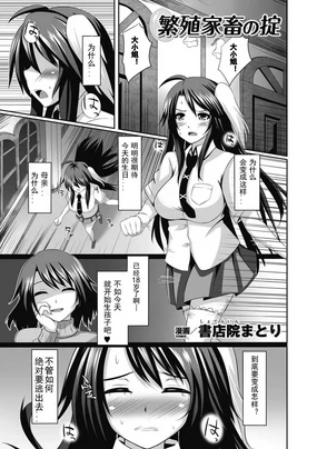 Hanshoku Kachiku no Okite