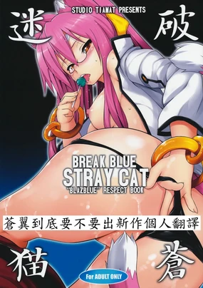 BREAK BLUE STRAY CAT