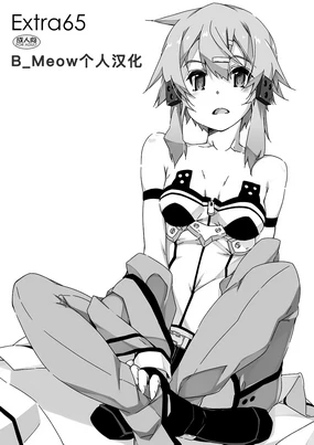 Extra 65