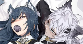 Texas has been captured