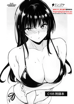 C105 Omakebon | C105 附錄本