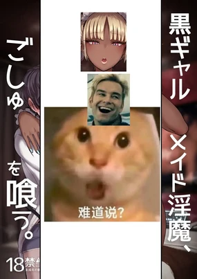 黑皮辣妹女仆淫魔，将阿主吃干抹净 1-4