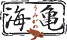 海亀