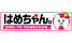 はめちゃん。